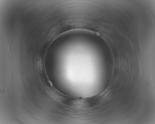 X0000056000086200508221334