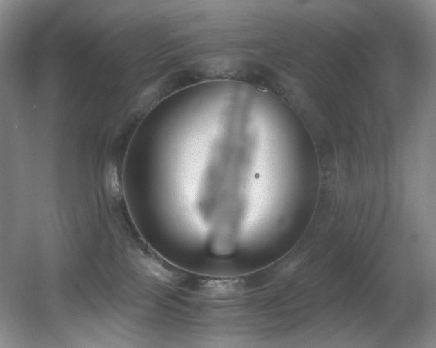 X0000056000089200508221334