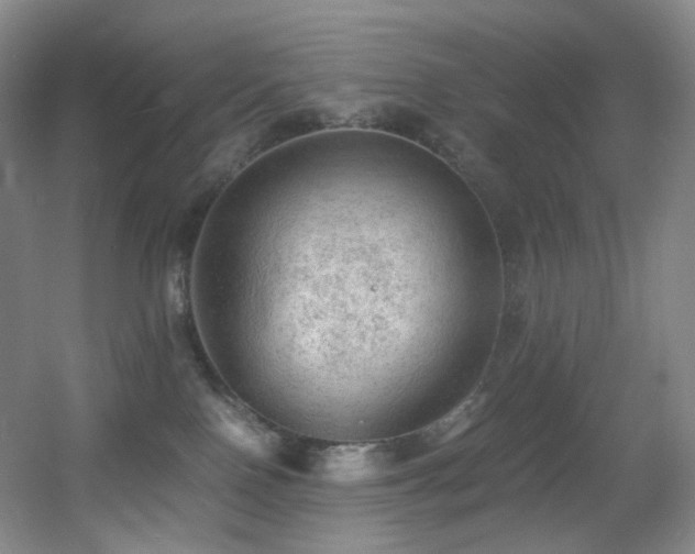 X0000056000090200508221334