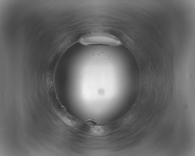 X0000056000091200508221334