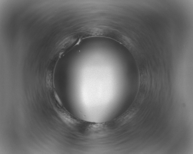 X0000056000092200508221334