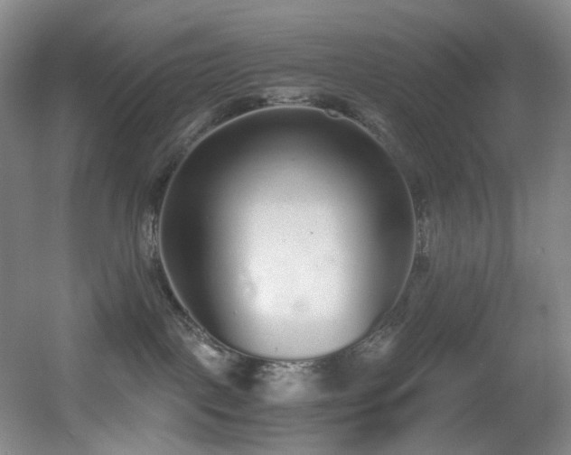 X0000056000093200508221334