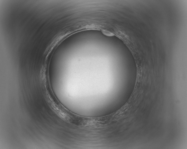 X0000056000098200508221333