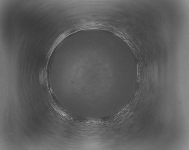 X0000056000099200508221333