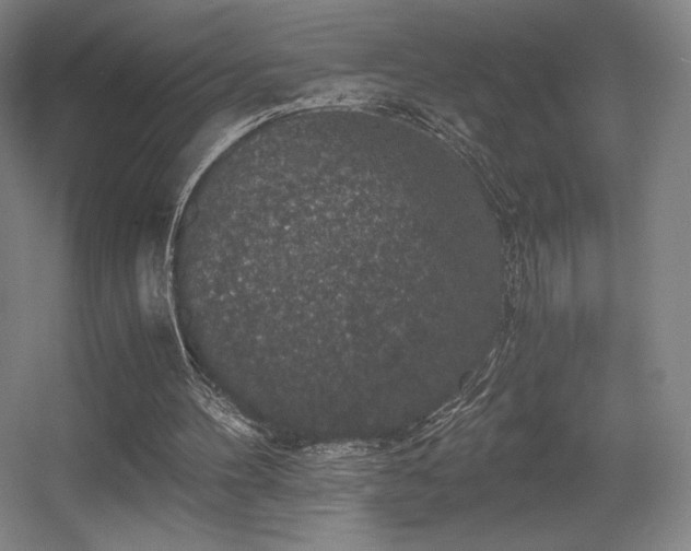 X0000056000100200508221333