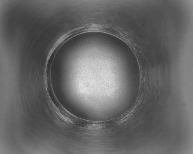 X0000056000102200508221333