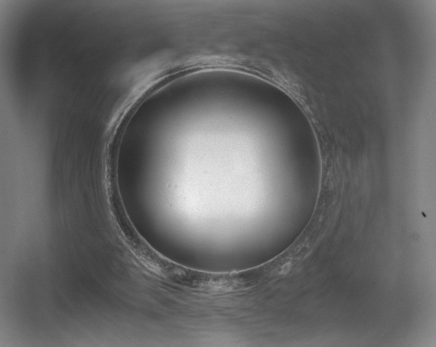 X0000056000103200508221333