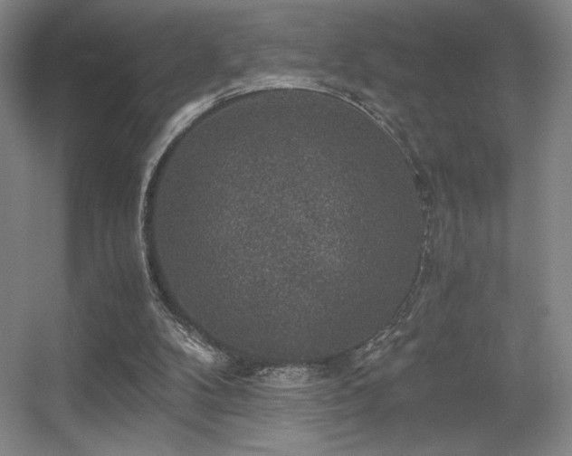 X0000056000104200508221333