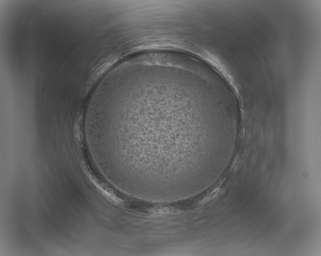 X0000056000105200508221333