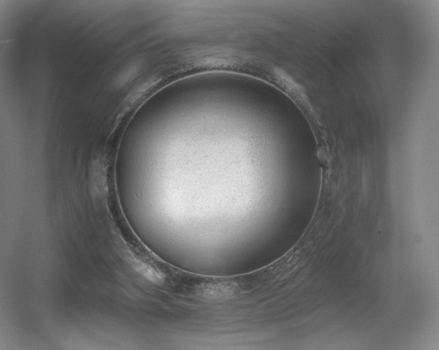 X0000056000106200508221333