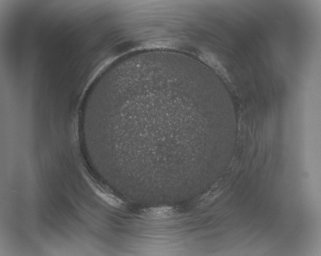 X0000056000108200508221333