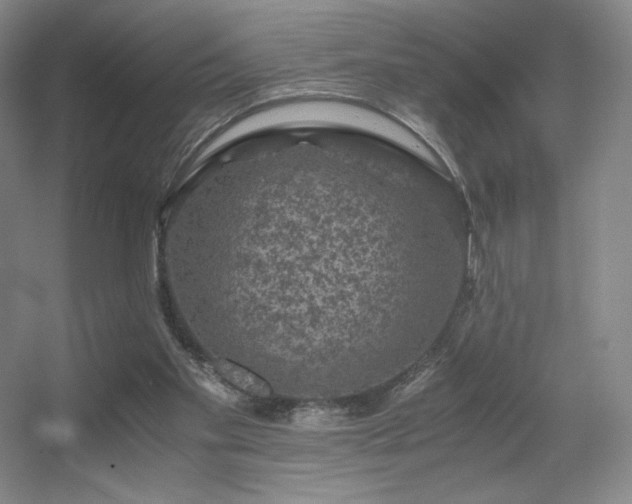 X0000056000109200508221333