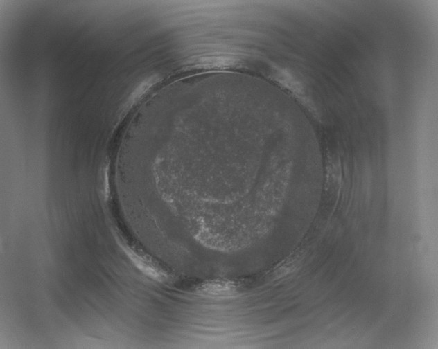 X0000056000110200508221333