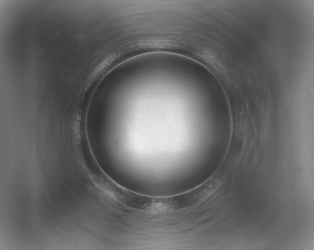 X0000056000111200508221333