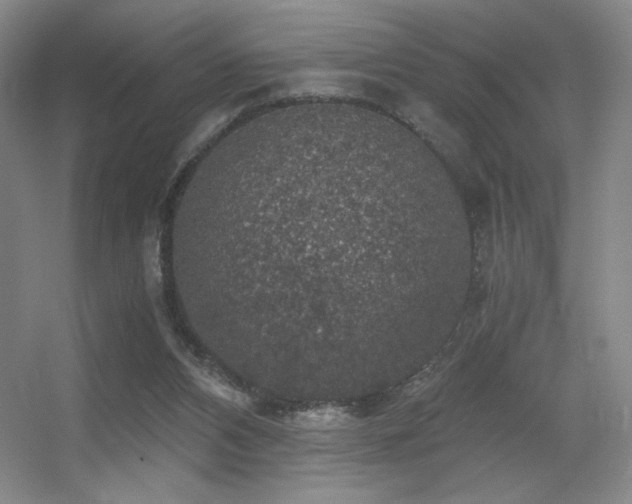 X0000056000112200508221333