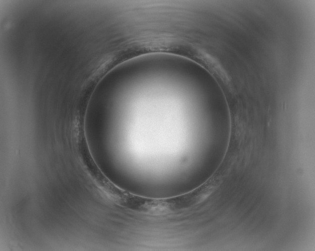 X0000056000113200508221333