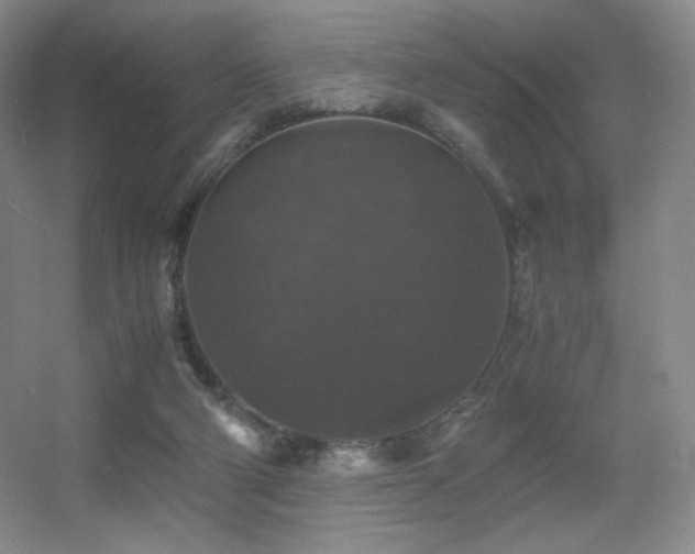 X0000056000114200508221333