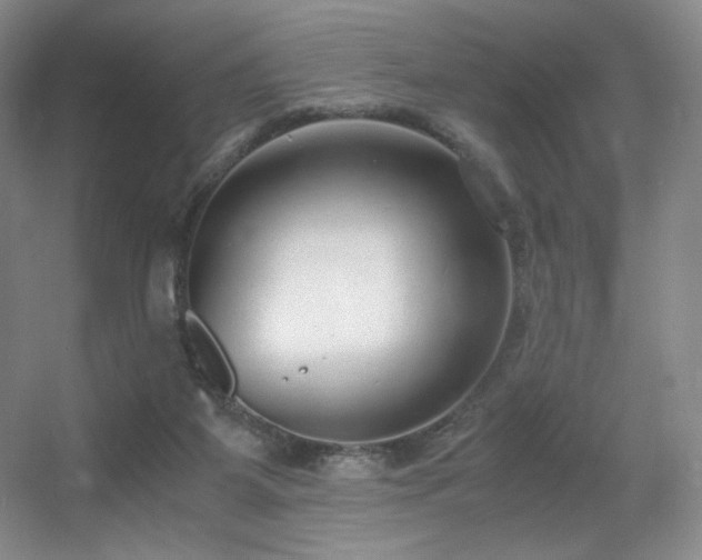 X0000056000115200508221333