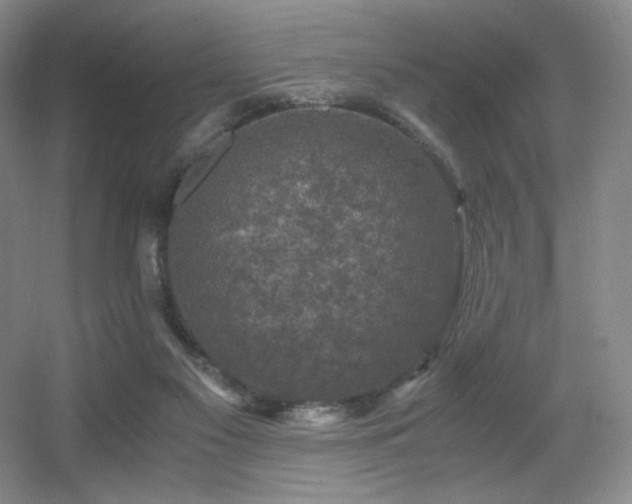 X0000056000117200508221333