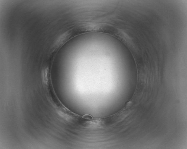 X0000056000118200508221333