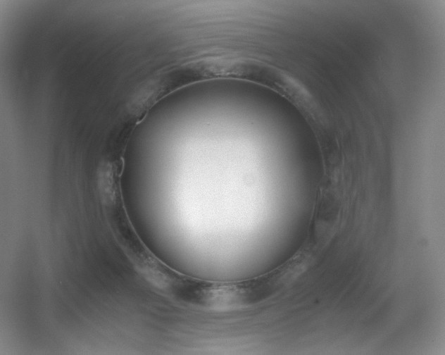 X0000056000121200508221333