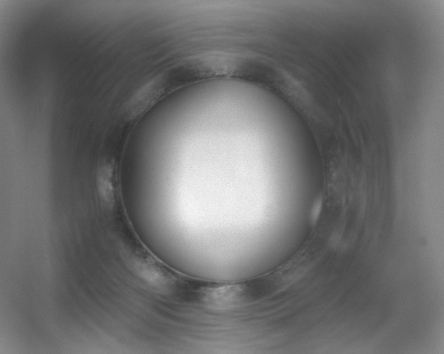 X0000056000122200508221333