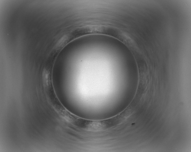 X0000056000123200508221333