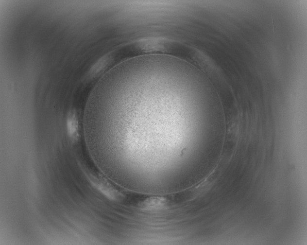 X0000056000124200508221333