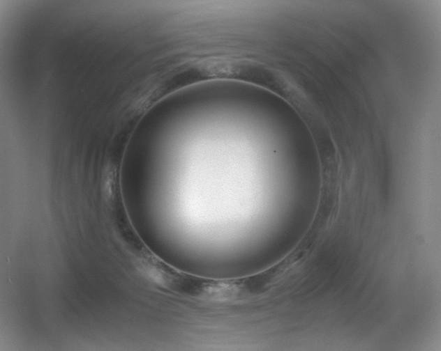 X0000056000125200508221333