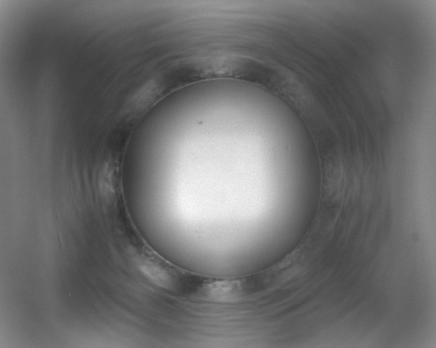 X0000056000126200508221333