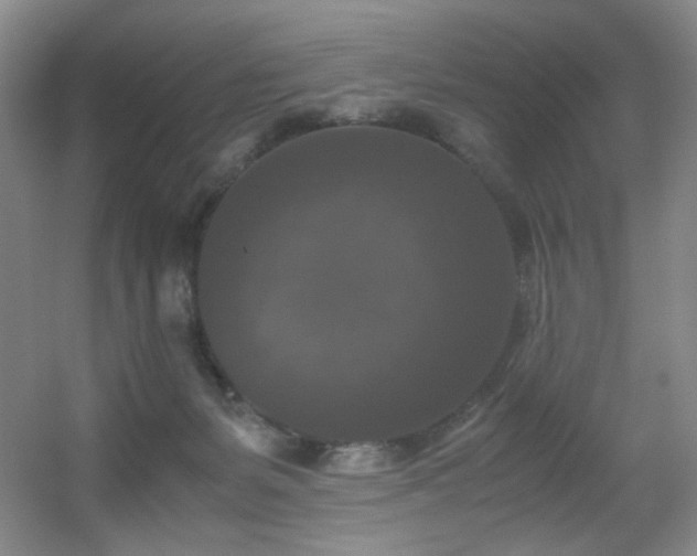 X0000056000127200508221333