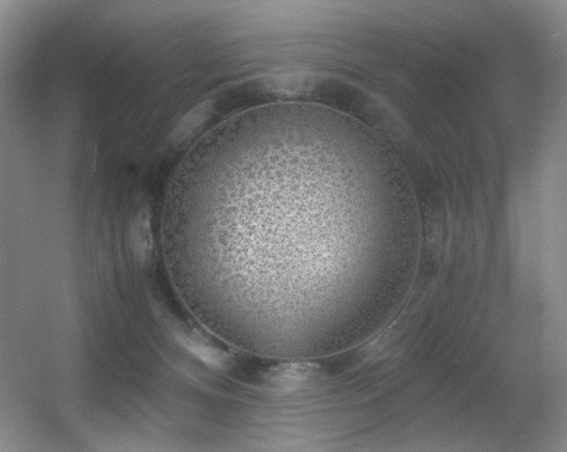 X0000056000128200508221333