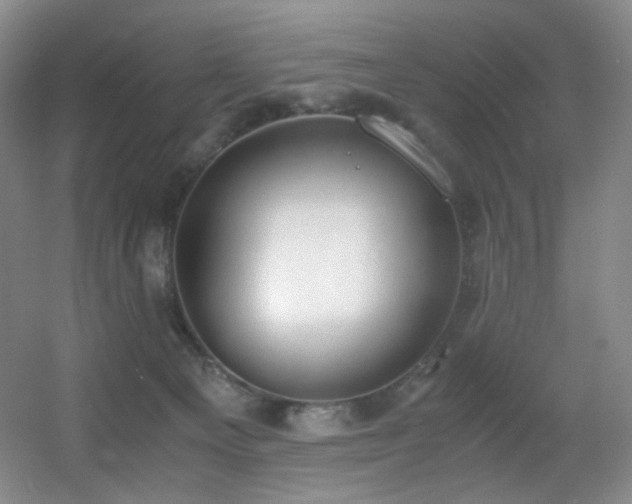 X0000056000129200508221333