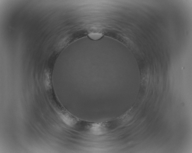 X0000056000130200508221333