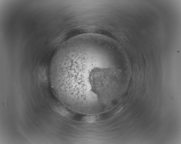 X0000056000131200508221333