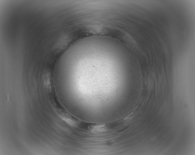 X0000056000132200508221333