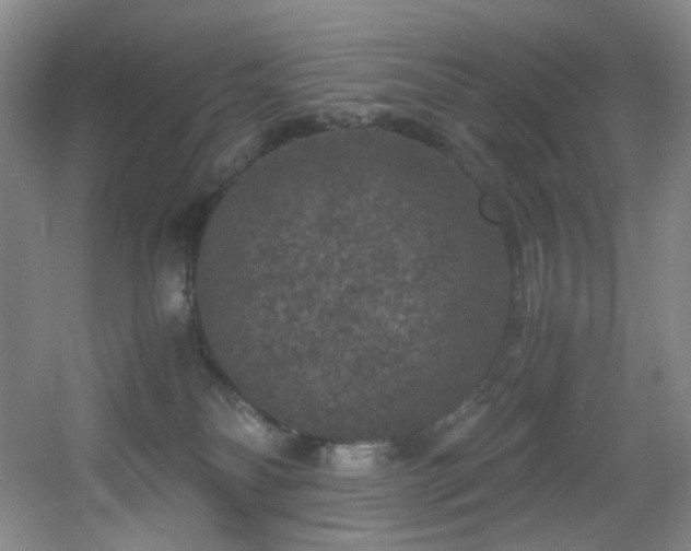 X0000056000134200508221333