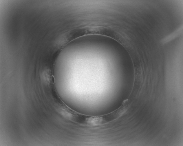 X0000056000135200508221333