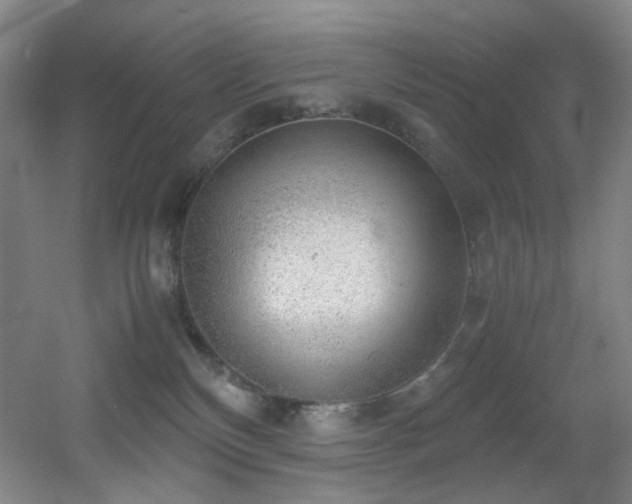 X0000056000136200508221333