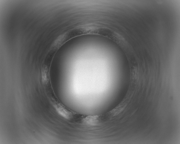 X0000056000138200508221333