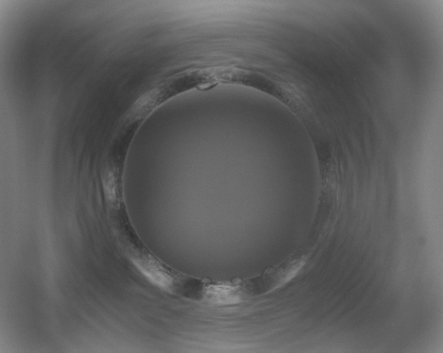 X0000056000139200508221333