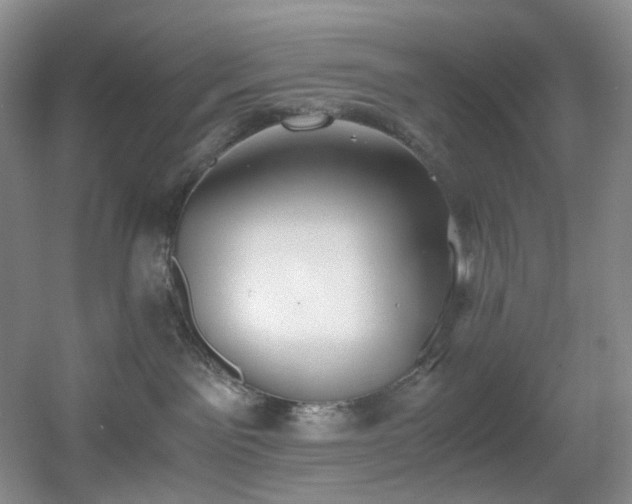 X0000056000141200508221333