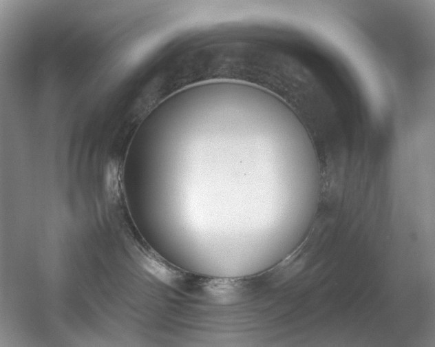 X0000056000142200508221333