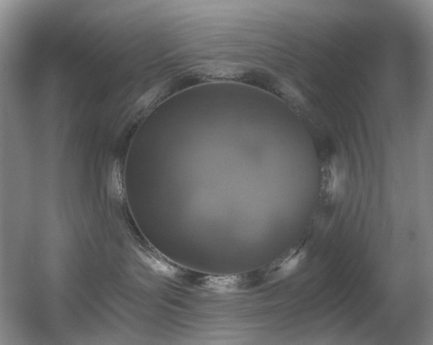 X0000056000143200508221333