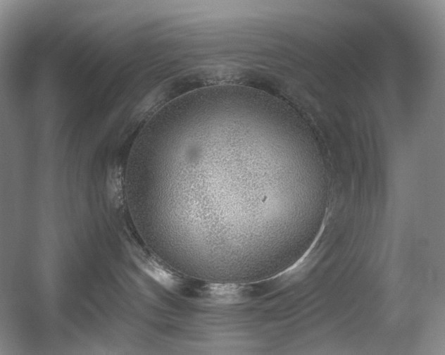 X0000056000144200508221333