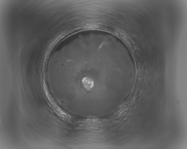 X0000056000145200508221332