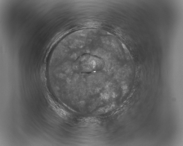 X0000056000146200508221332