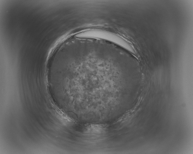 X0000056000149200508221332