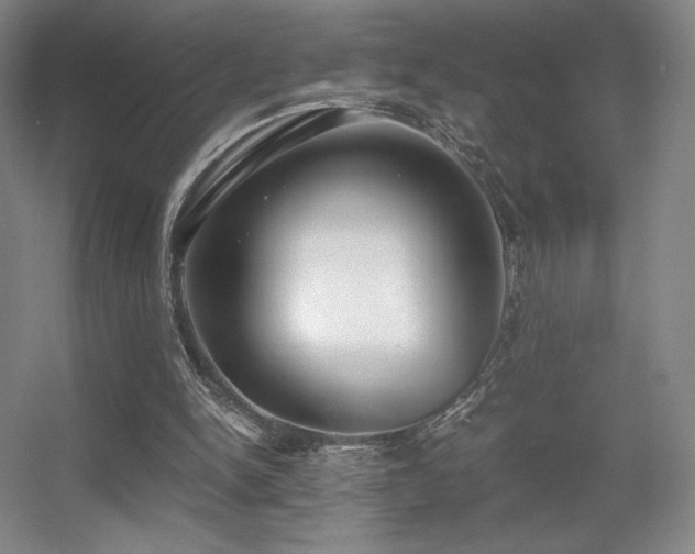 X0000056000150200508221332