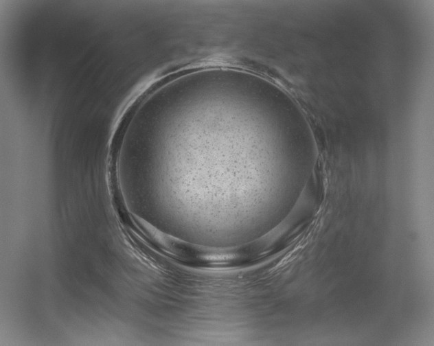 X0000056000152200508221332